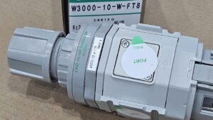 CKD W3000-10-W-FT8